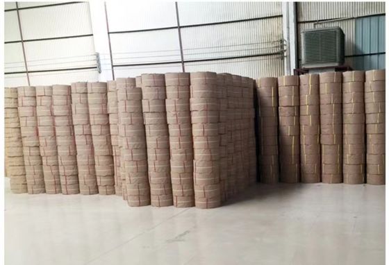 Cinturón de embalaje automático de PP de 5-19 mm con correas de PP de alta velocidad con correas de PP PET