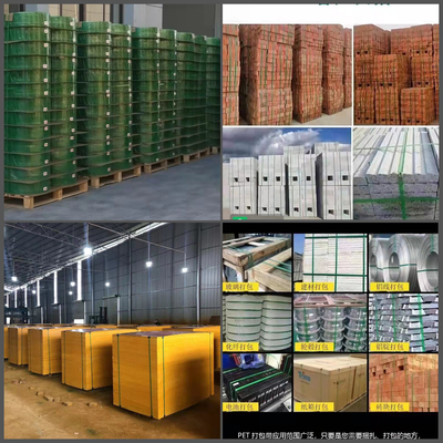 Sistema de control del PLC de la correa del ANIMAL DOMÉSTICO de