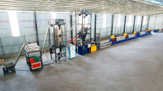 La cadena de producción de la correa del ANIMAL DOMÉSTICO de Polyerster motor PP de Siemens ata con correa la máquina de fabricación