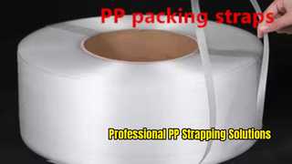 Las bandas de PP